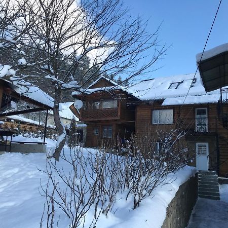 Під Лісом У Гіда Villa Yaremche Ngoại thất bức ảnh